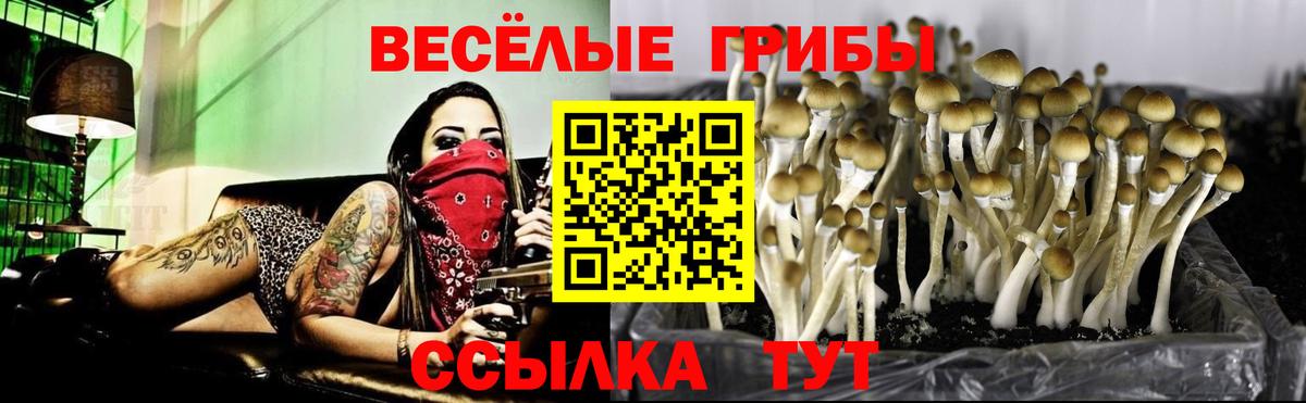 Галлюциногенные грибы Magic Shrooms Щёкино